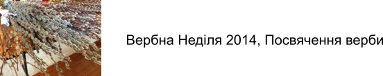 Вербна Неділя 2014, Посвячення верби